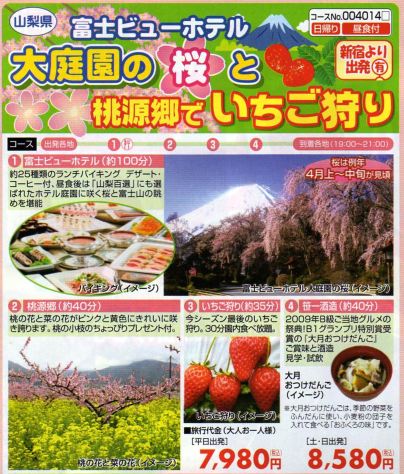 かめかめ かめラ 桜と桃源郷といちご狩り